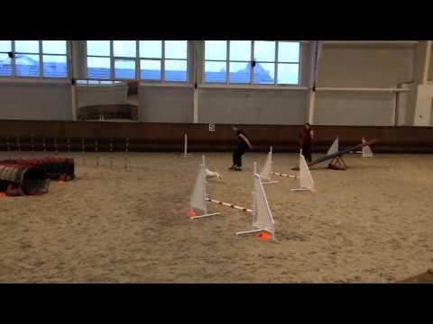 Tekna Royal Canin Cup 251014 A3