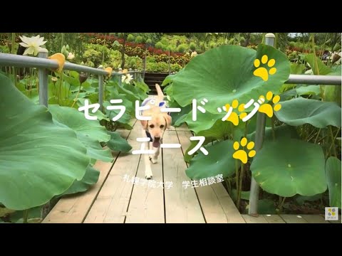 経済学科 札幌学院大学 学生相談室 セラピードッグ エース Vol.5