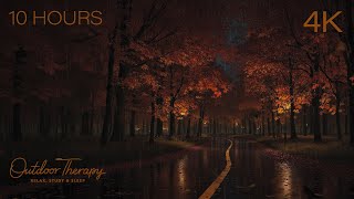 October Rain in the Maple Forest 🌧️ Gentle Wind, Heavy Rain & Forest Night Ambience [10 HOURS | 4K]