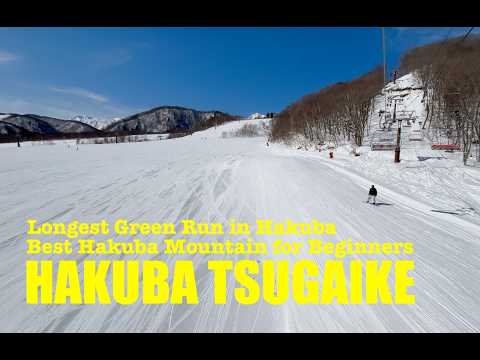 Video: Hakuba, Nagano | TSUGAIKE ★★★ Ultimate Ski Trip at Hakuba's Powder Paradise ★★★ 長野県白馬栀池スキー場