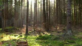 kenan dogulu kardan kadın