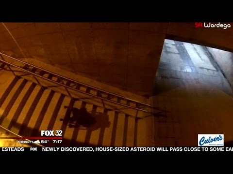 Video of 'spider dog' scaring people goes viral