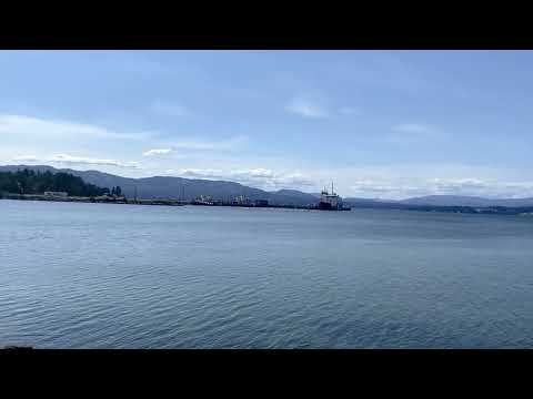 Patricia bay (sea plane base): Hidden Gem in North Saanich, Victoria BC # beach, # planes; # shells