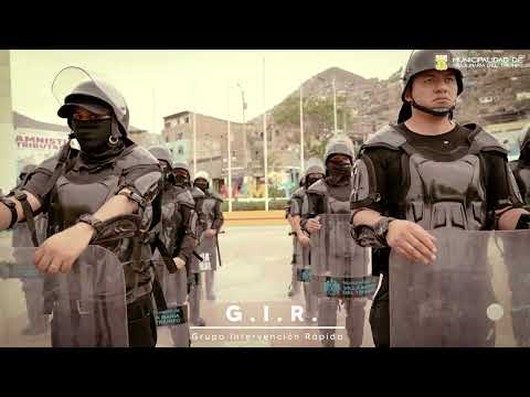 El Grupo de Intervención Rápida - GIR, video de YouTube