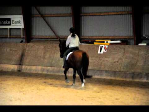 Mathilde hest 028.AVI