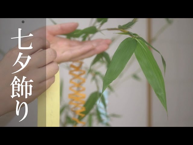 הגיית וידאו של 笹 בשנת יפנית