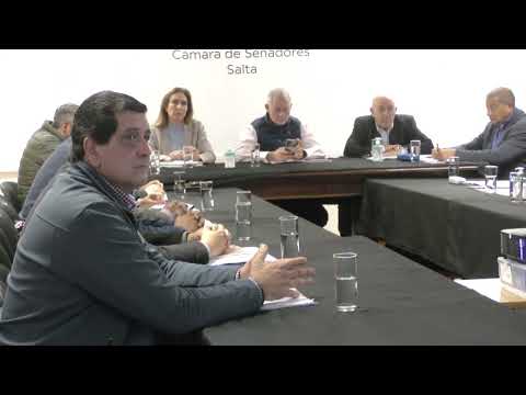 Regularización Dominial: Desarrollo Agropecuario presentó un informe sobre los avances a la Comisión Bicameral