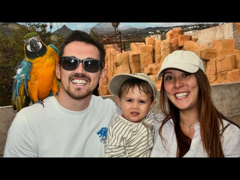 Reliving My Childhood Holidays in Tenerife ☀️