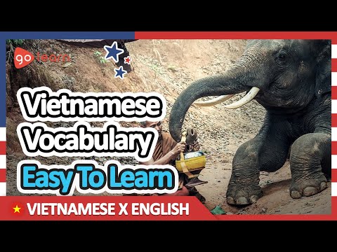 Learn Vietnamese |Part 3: Vietnamese Vocabulary Easy To Learn | Goleaen