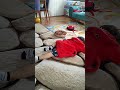 Birkan Bayıldı 🫣 Okulöncesi Anaokulu Kidsvideo çocukvideoları Funnyshorts Baby çocukvideo