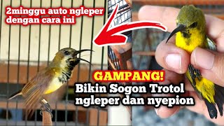 Download lagu Easy Ways to Make Sogon Trotol Ngliper2 and Nyepion mp3