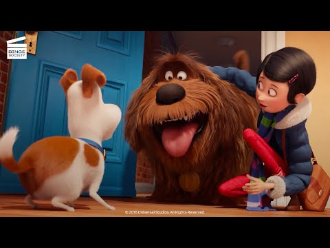 The Secret Life of Pets: Max, this is Duke! (HD CLIP)