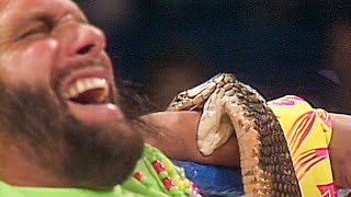Download lagu Jake Roberts and Randy Savage’s infamous cobra bite segment: WWE Superstars, Nov. 23, 1991 mp3 Download lagu Jake Roberts and Randy Savage’s infamous cobra bite segment: WWE Superstars, Nov. 23, 1991 mp3