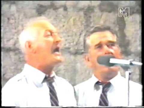 Dalmatino povišću pritrujena - Oktet DC - FDK 1991