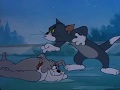 Tom And Jerry Classic Solid Serenade Part 3 3
