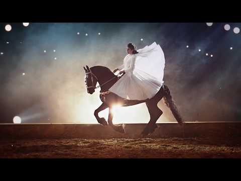 "Gefährten des Lichts" Trailer - 2017/2018