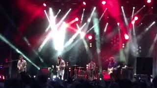 The Academic- Fake ID (Dublin)