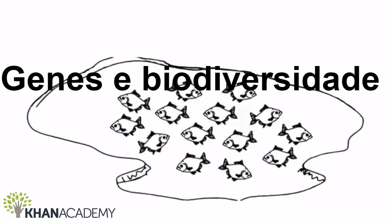 Genes e biodiversidade | Biodiversidade e  conservação | Biologia | Khan Academy
