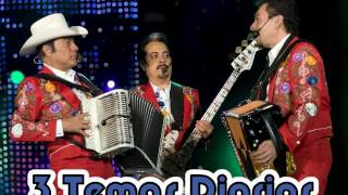 Don Nadie__Los Tigres del Norte  en San Jose California USA en Vivo (Año 2007)