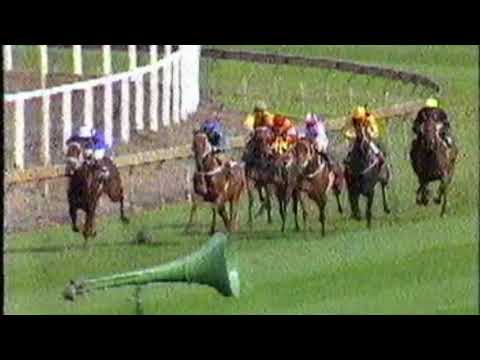 1988 Pago Pago Stakes - Star Watch vs Zeditave