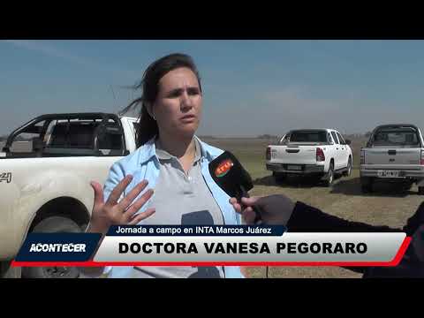 Marcos Juárez: Se desarrolló una jornada a campo en INTA