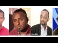HABTAMU AYALEW AND OTHERS