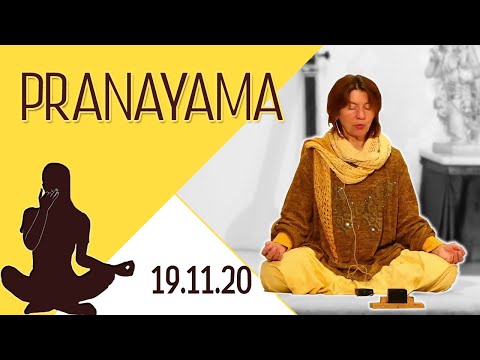 Pranayama für Fortgeschrittene mit Vani Devi - Yoga Vidya Live 06:00 - 19.11.2020