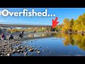 i fished the most crowded river in arizona...