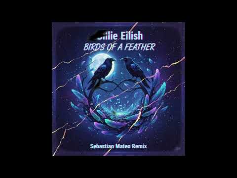 Billie Eilish - Birds Of A Feather (Sebastian Mateo Remix)
