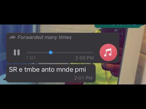 gedi1000 ft jo Gekketsz