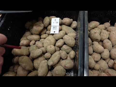 , title : 'Proeftuin Landbouw: Meerdere smaken - robuuste aardappelrassen (deel 2)'