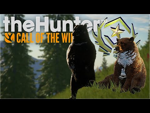 EASY Great One Black Bear Grind – Best Setup & Tips | Hunter: Call of the Wild