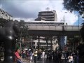 CATalina / Fonseca