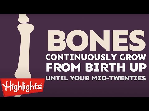 Did you know? #2 | 2020 | Laugh and Learn | Kids Videos | Highlights Kids - Kingdom Kids Zone, Little Learners - Highlights Kids