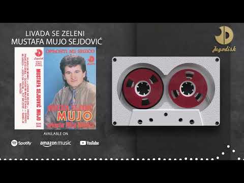 Mustafa Mujo Sejdovic - Livada se zeleni - (Audio 1991)