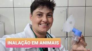 COMO FAZER INALAÇÃO EM ANIMAIS