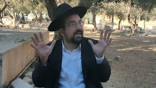 מיהם אנשי המעמדות של ימינו | הרב אליהו ובר (ישיבת הר הבית) - התמונה מוצגת ישירות מתוך אתר האינטרנט יוטיוב. זכויות היוצרים בתמונה שייכות ליוצרה. קישור קרדיט למקור התוכן נמצא בתוך דף הסרטון