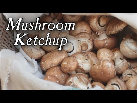Mushroom Ketchup Made Using an 18th Century Recipe