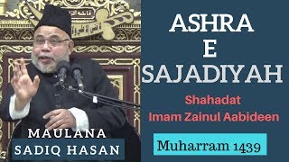 24th Muharram 1439 - Majlis e Shahadat e Imam Ali Zaynul Abideen (A) - Maulana Sadiq Hasan