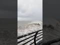 Georgia Black Sea Storm Shorts