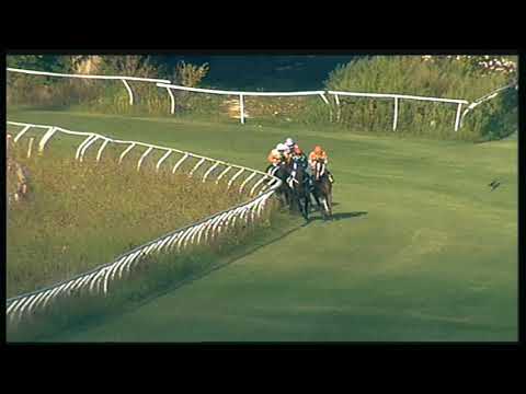 Galoppo 26/08/2020 - 1ª corsa