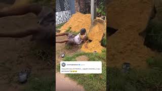 TENTE NÃO RIR - CAIU E FICOU ZANGADO🤣🤣🤣🤣 #shorts #memes #tentenaorir #videosengraçados