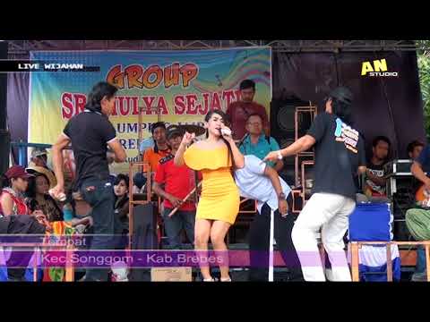 PRIANGAN - SRI MULYA SEJATI LIVE WIJAHAN 2017