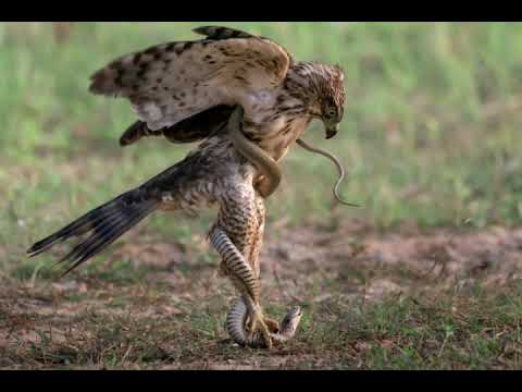 ADDITION - Igor Yuriev - Instrumental rock