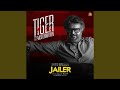 Tiger Transformation From Jailer