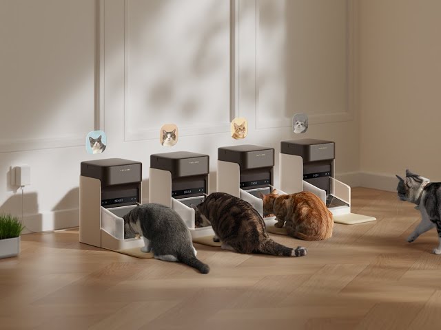 Video teaser for 🌟Introducing the NEW One RFID Pet Feeder for multi-pet families!✨🚀