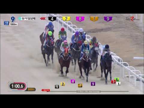 Donga Ilbo Cup 2018 - Silver Wolf