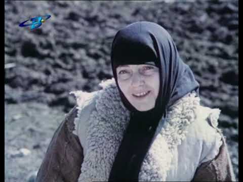 Златният век 6