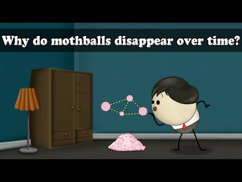昇華 - 時間が経つと蛾が消えるのはなぜ？| 蛾蛾の生態｜#aumsumum (Sublimation - Why do mothballs disappear over time? | #aumsum)