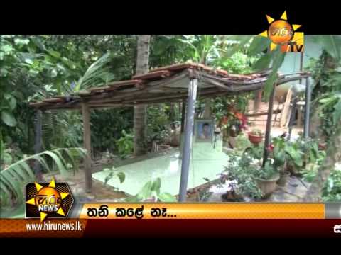Hiru News 9.30 PM August 30, 2014
